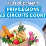 Circuits courts 2020